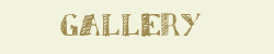 gallery.html